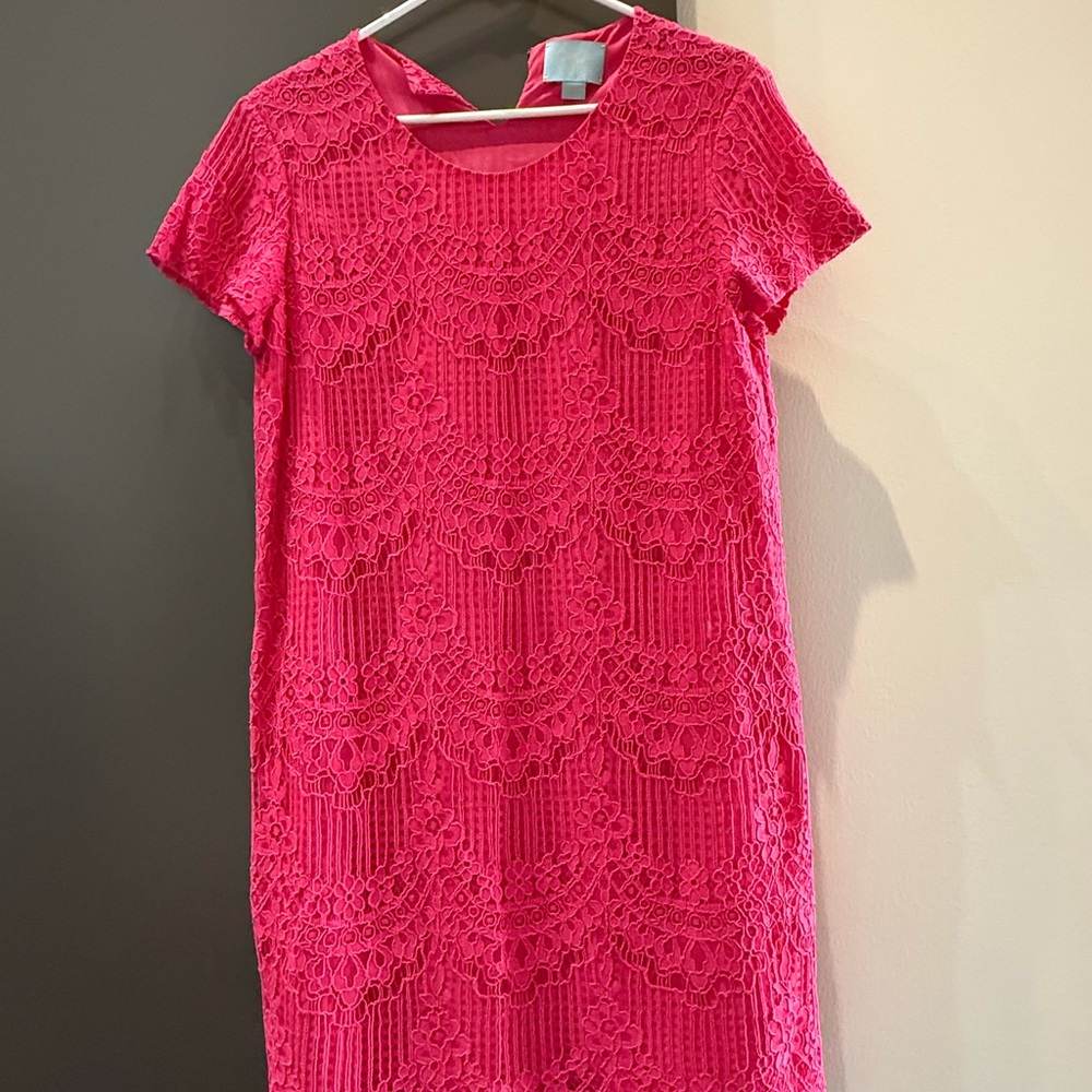 Elegant CeCe Pink Lace Dress
